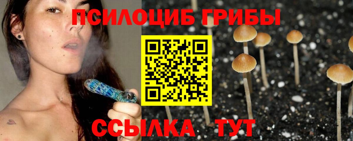 Галлюциногенные грибы Magic Shrooms  Белово 