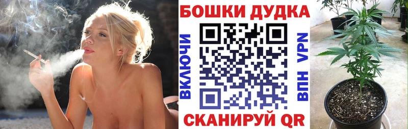 Конопля SATIVA & INDICA  Белово 